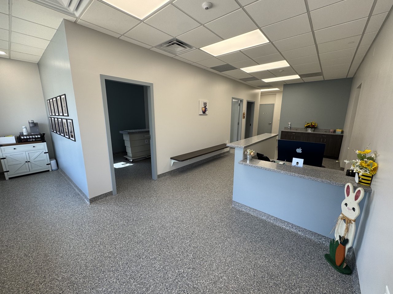 The cat-only reception area